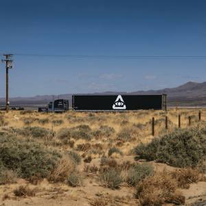 🕸️ ##Lyfë tweet media