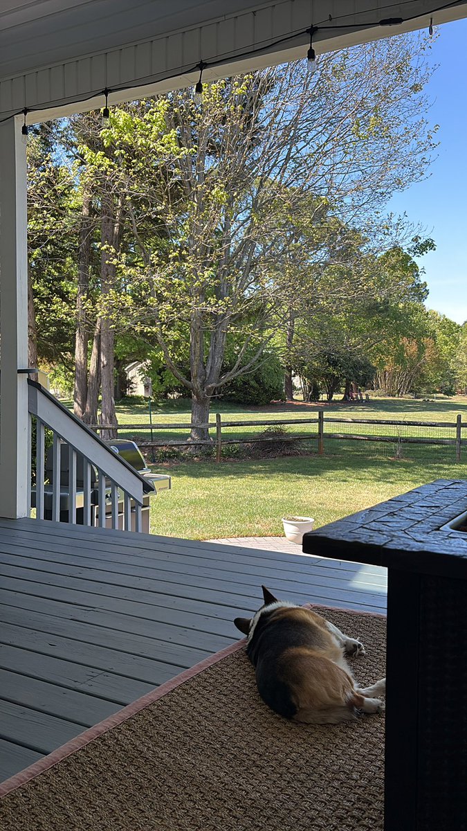 Jan Cale tweet media