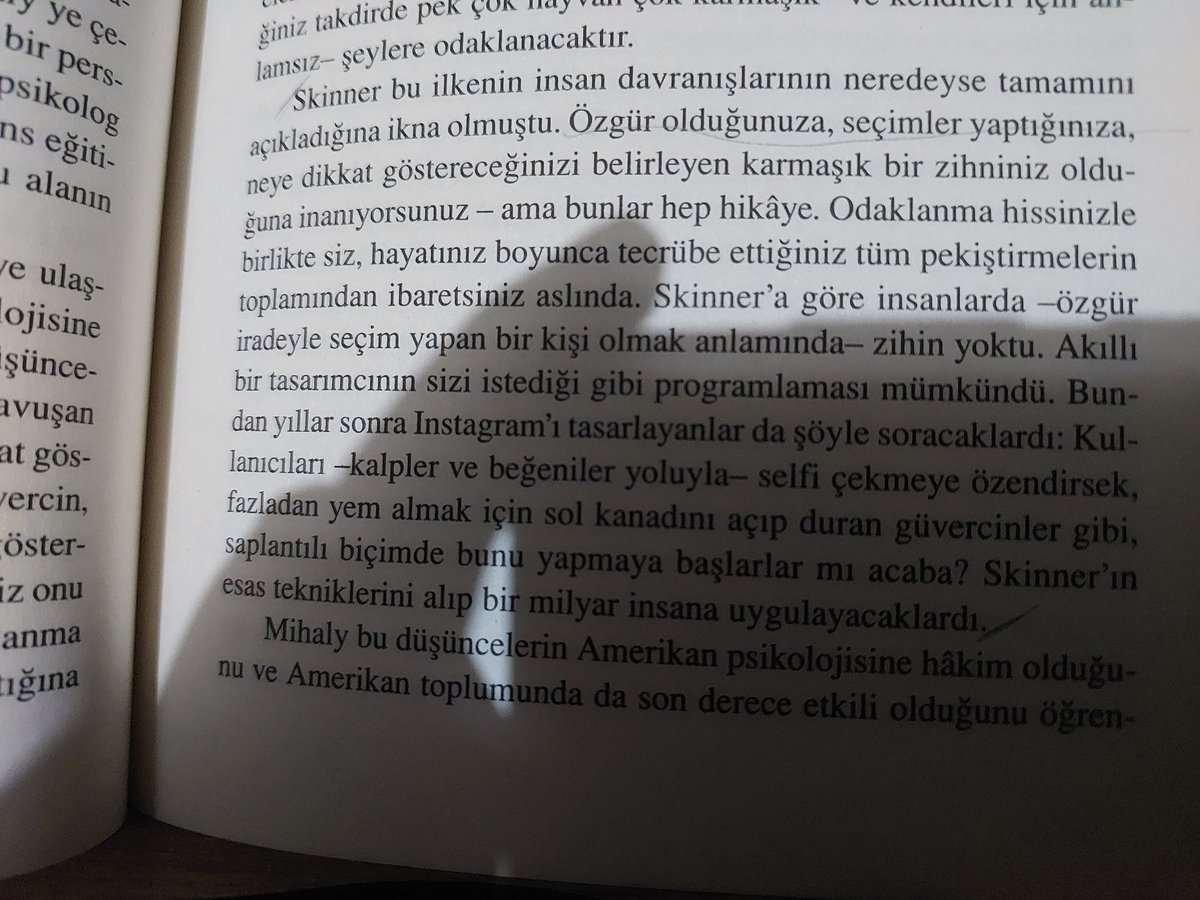 Gün Hanım tweet media