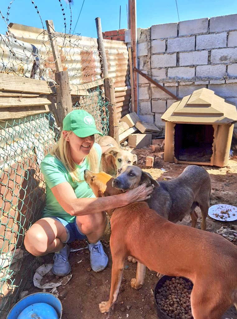 Laurika 🌻🐕🌊 tweet media