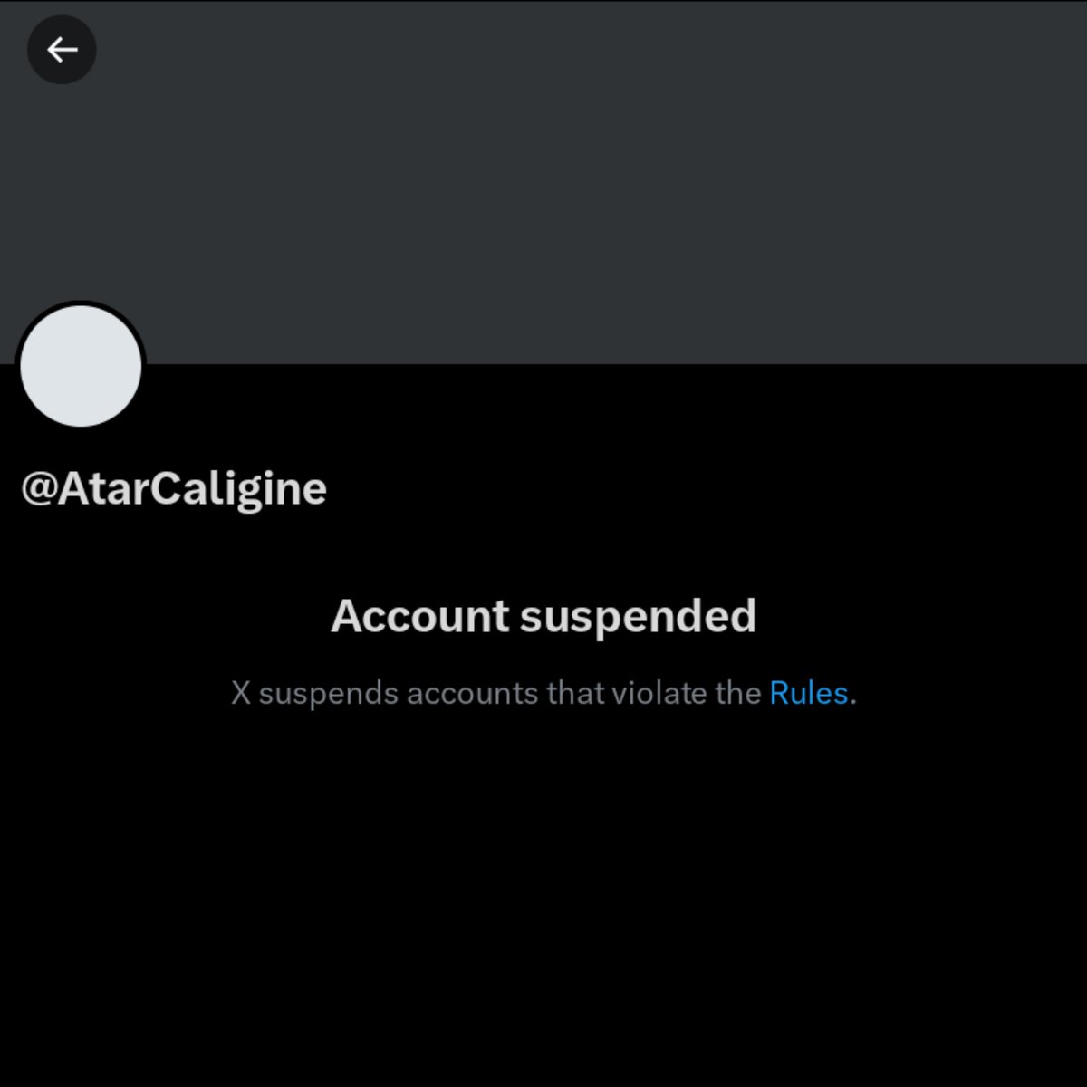 Zero ✚ tweet media