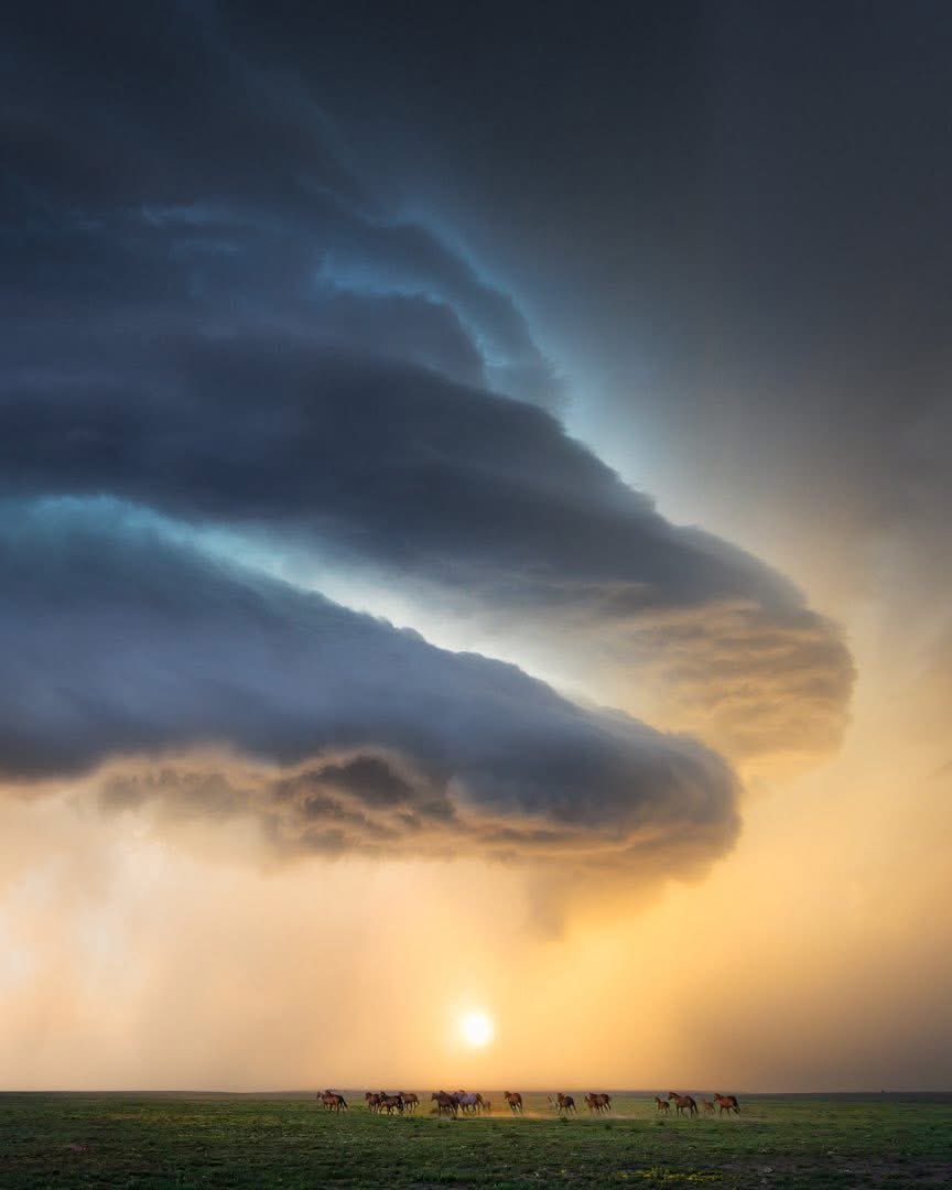 Lauren Baca 🌪️ Storm Photographer tweet media