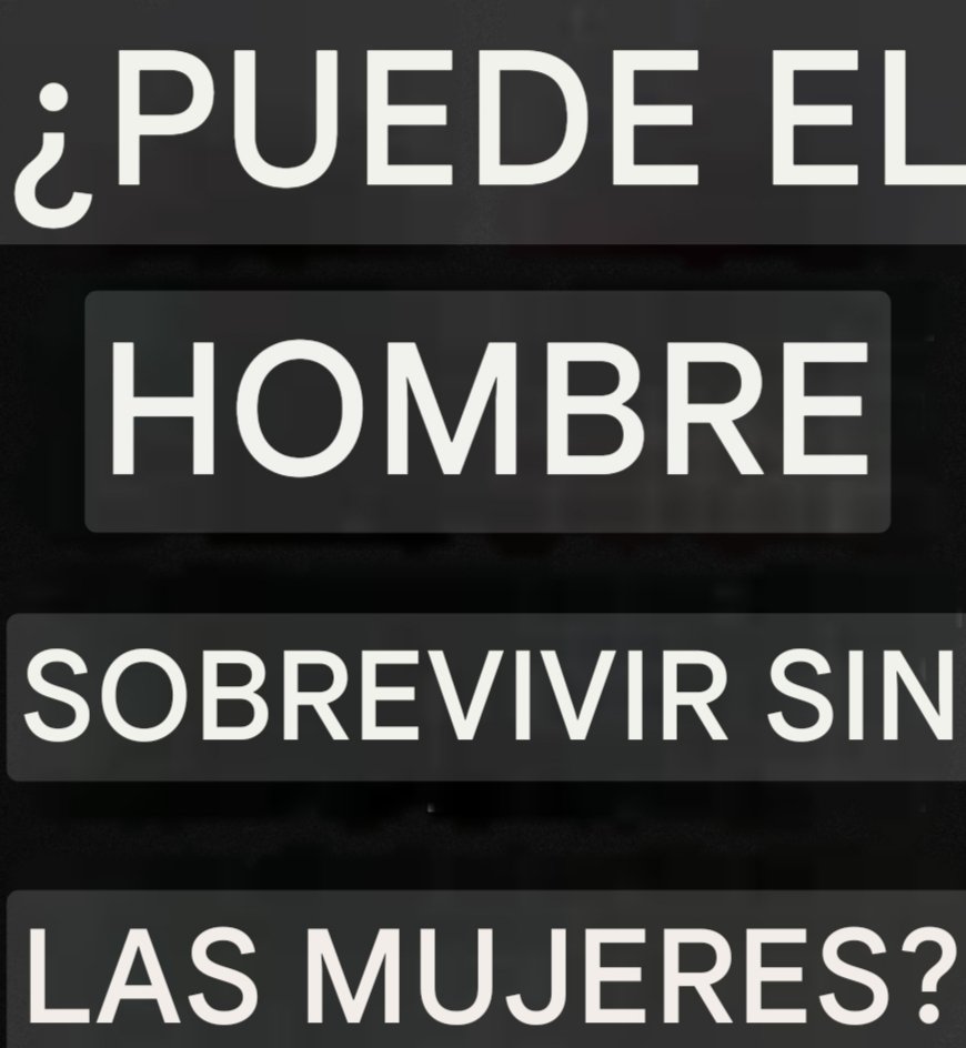 El CondeNado tweet media