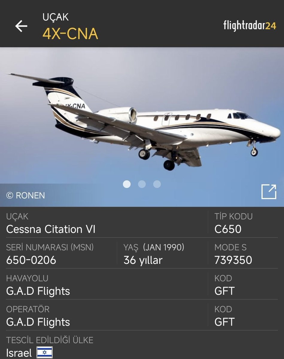 Deniz Yavuzyılmaz tweet media