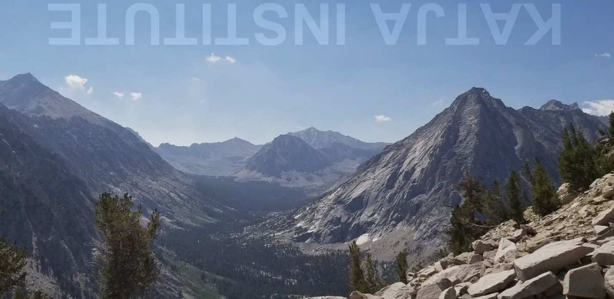 katjainstitute.bandcamp.com/album/the-quee…
thealexjonesstore.com/products/alex-…