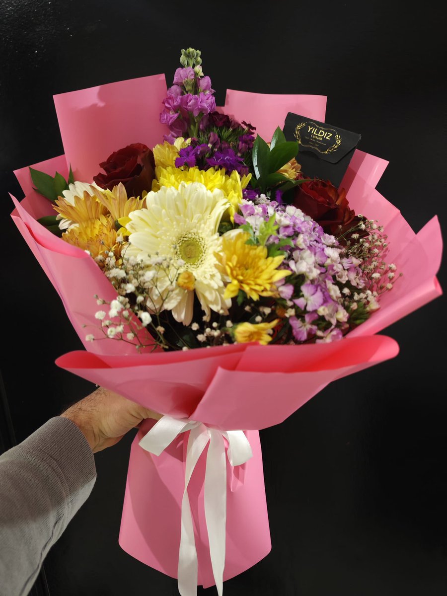 AnkaCihAl🐦‍🔥 tweet media