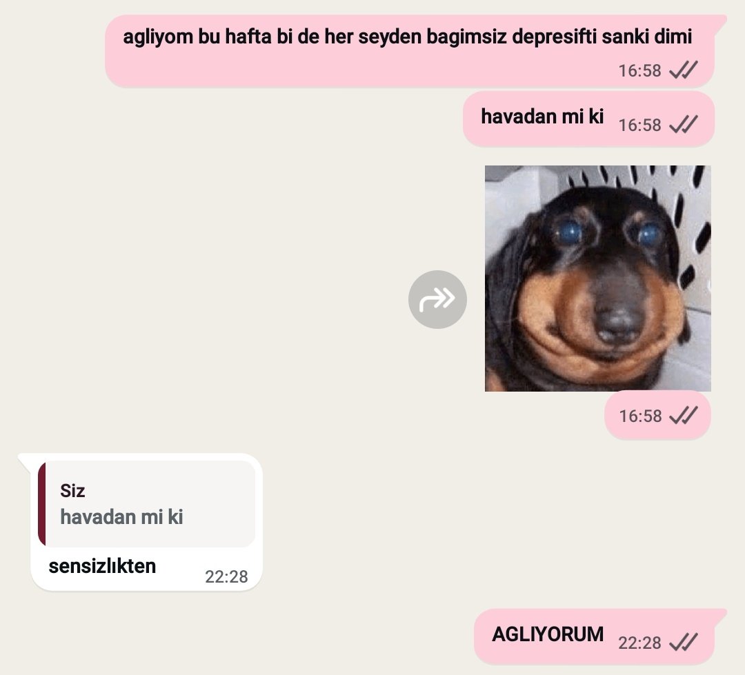 sde🇹🇷 tweet media