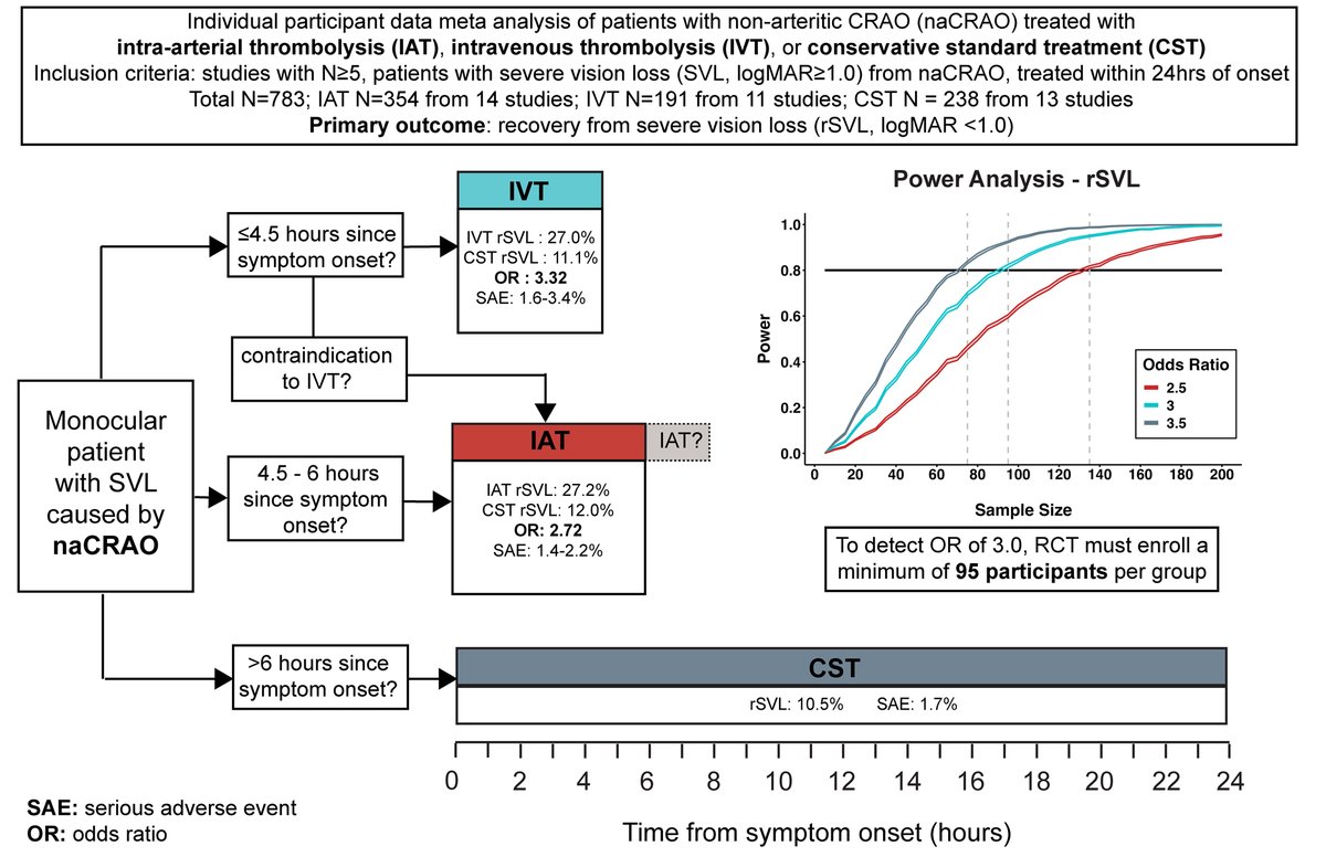 StrokeAHA_ASA's tweet image. Early Thrombolysis in Central Retinal Artery Occlusion: Stepping Toward Better Visual Outcomes?

In this #BloggingStroke post, Beatriz Sarno discusses #Stroke article by Xie &amp;amp; Zaslavsky et al. ahajournals.org/do/10.1161/blo…