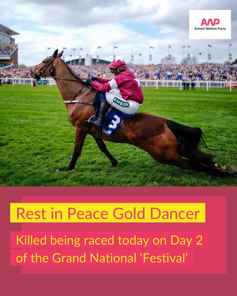 Animal Welfare Party tweet media