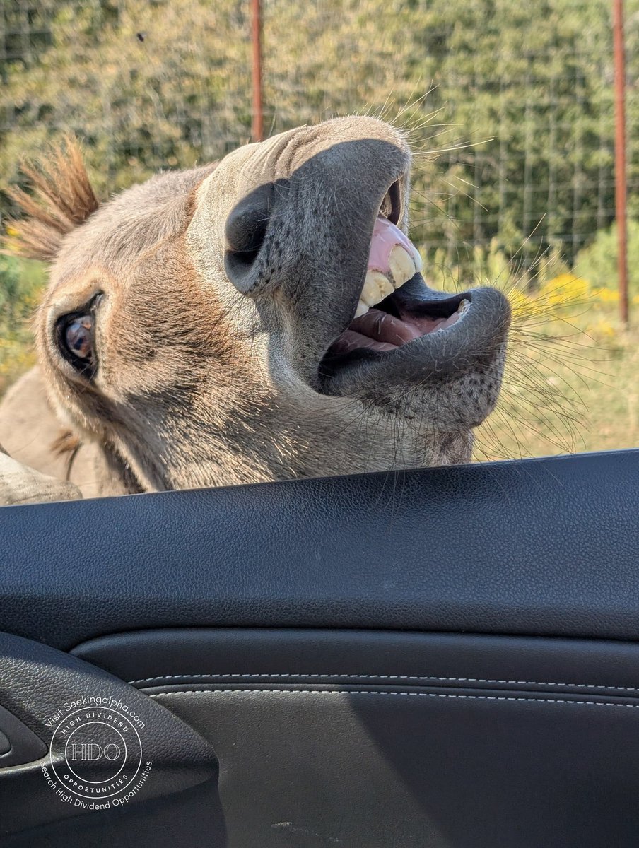 High Dividend Opportunities tweet media