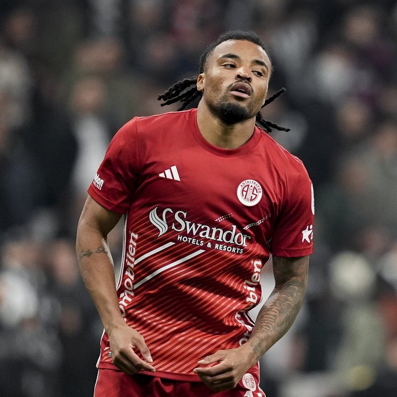 WOUT WEGHORST tweet media