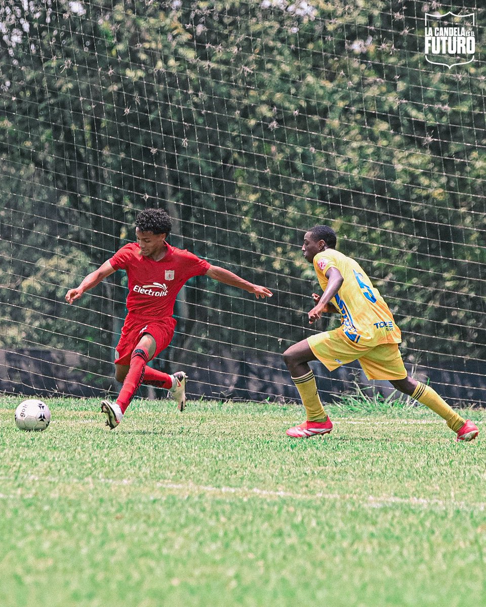 Categorías de Formación América de Cali tweet media