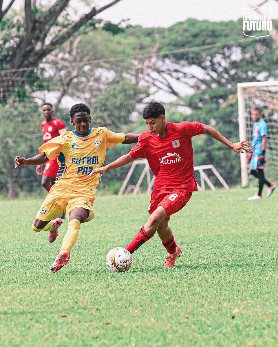 Categorías de Formación América de Cali tweet media