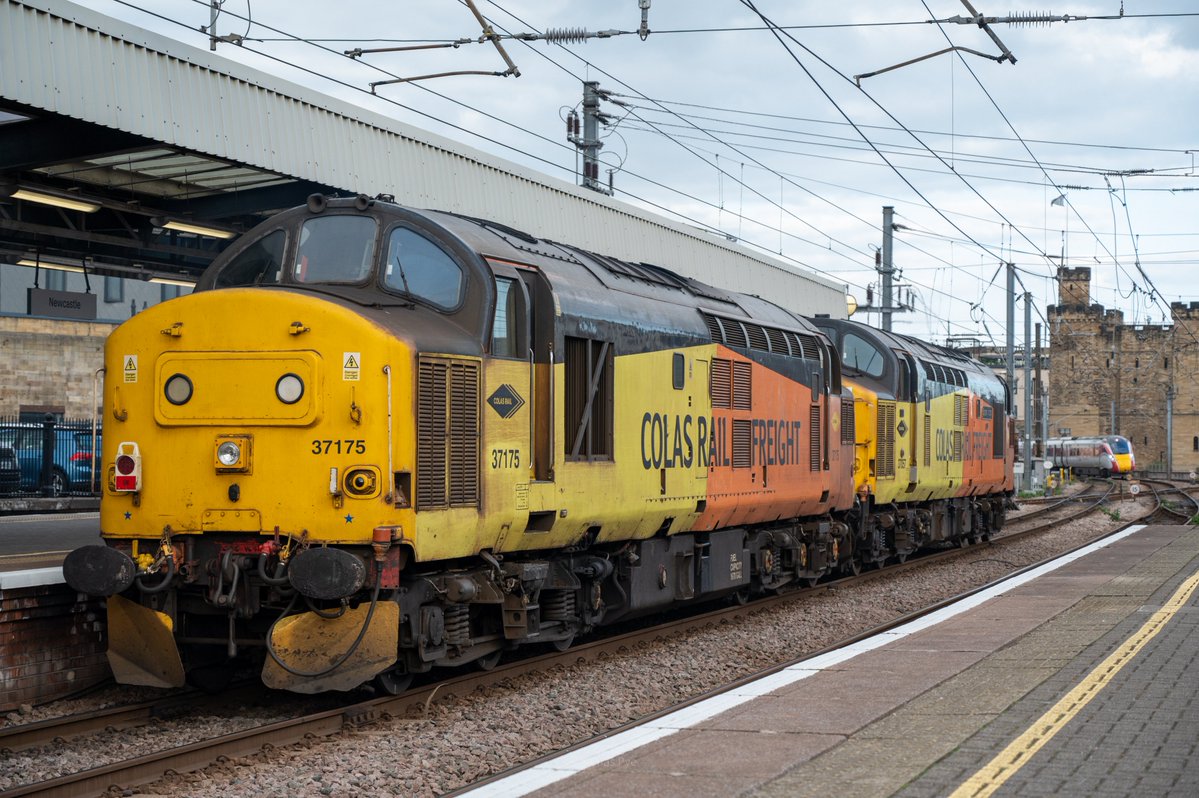 Thomas Pye tweet media