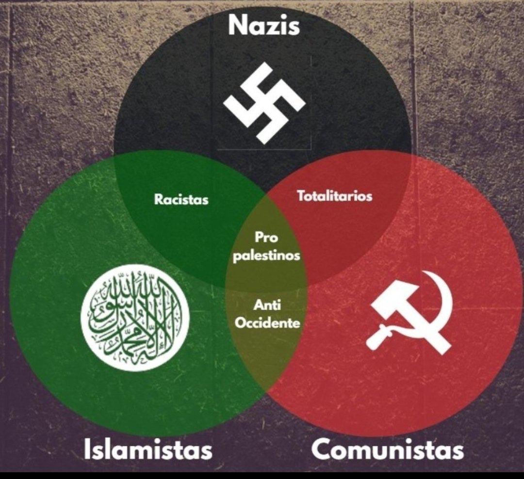 Sofia Afonso Ferreira tweet media