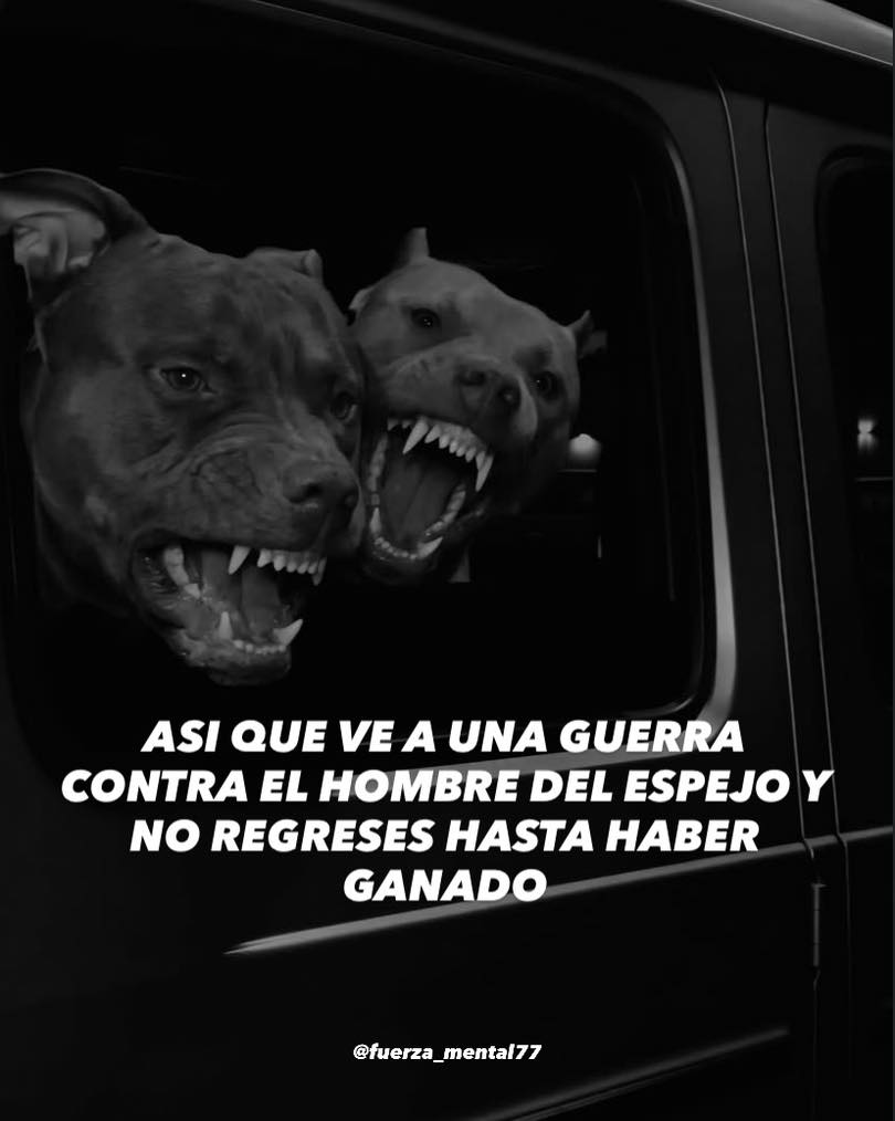 Princesa Mato tweet media