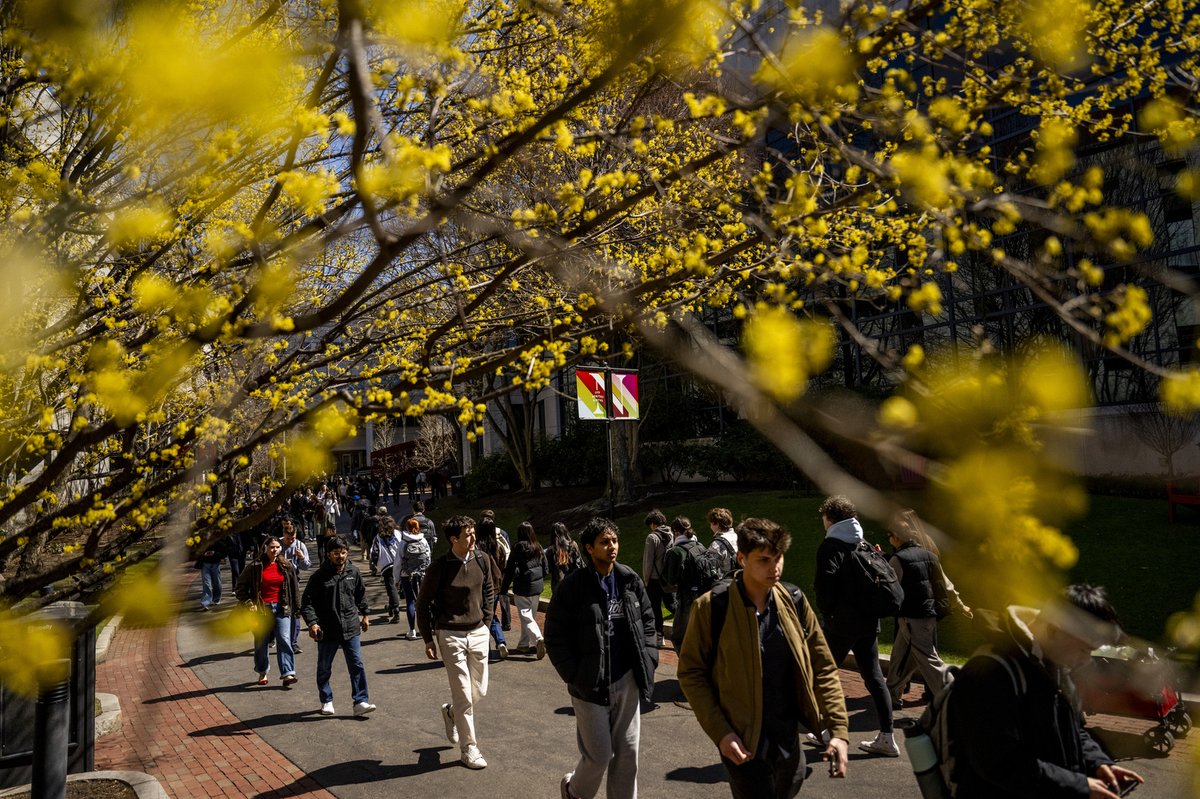 Northeastern University tweet media