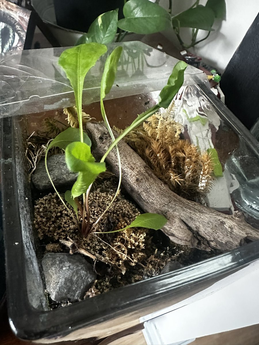 i am boot and i am antheap tweet media