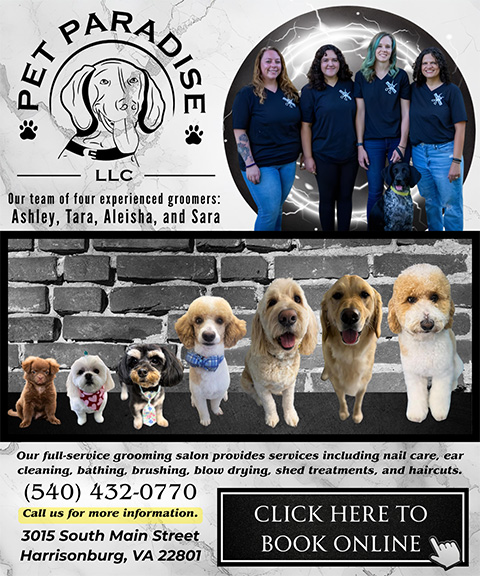 🐶 Your pet deserves more than just care… they deserve a PARADISE.

🎉 Congratulations to Pet Paradise for being FEATURED by Direct Business Publications!

🔗 directbusinesspublications.com/states/virgini…

#DBPNATIONWIDE