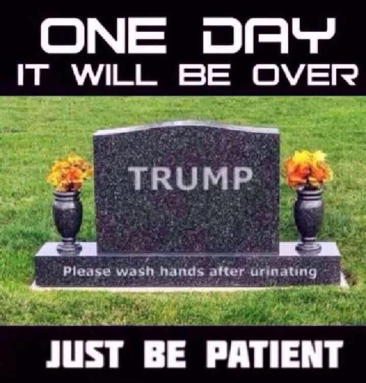 Bea Singleton tweet media