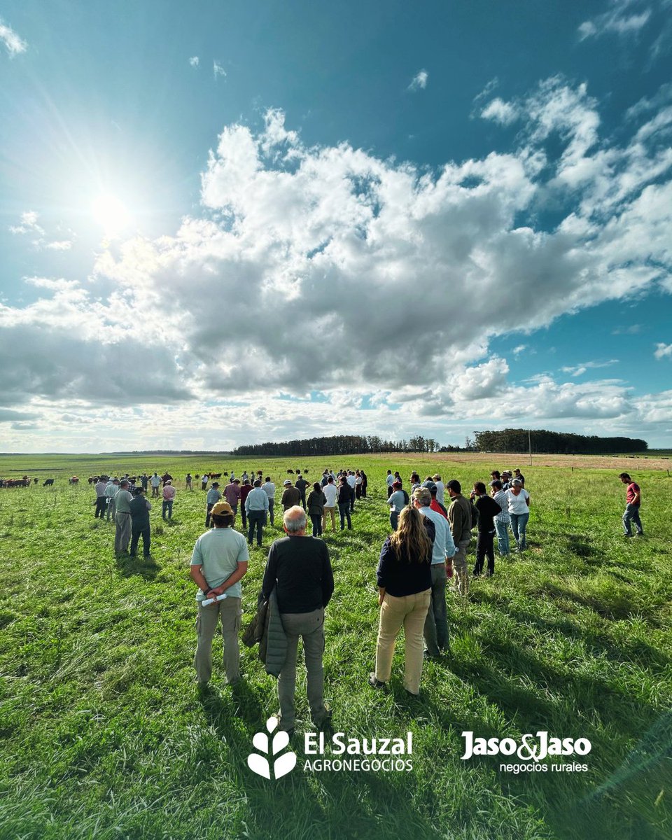 El Sauzal Agronegocios tweet media
