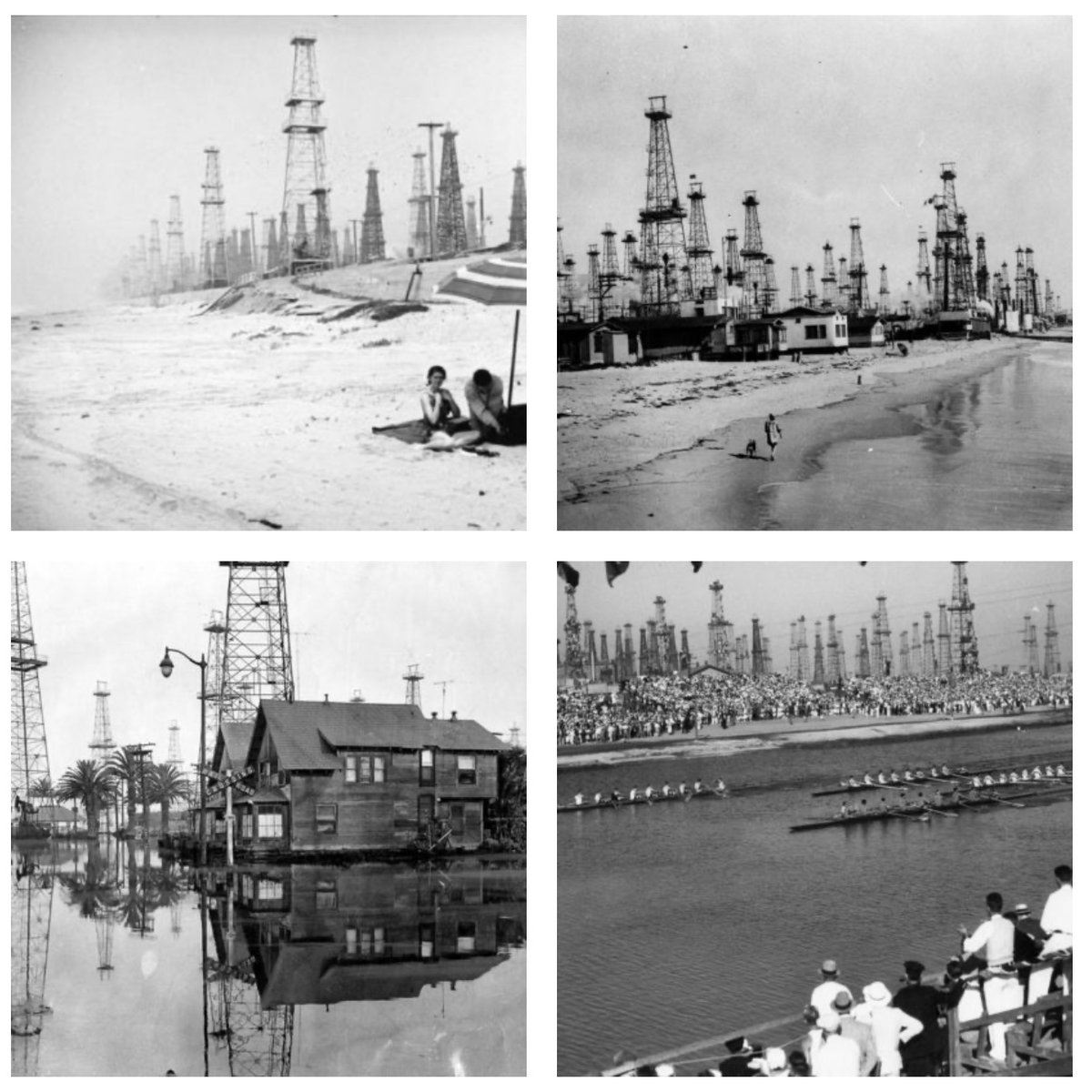 World of Statistics tweet media