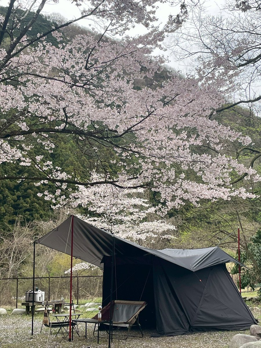 L2Rfaffaf's tweet photo. 今年は入院前滑り込みで
タンブラー変えて正解
#キャンプ
#花見キャンプ https://t.co/Gha8A9O71o
