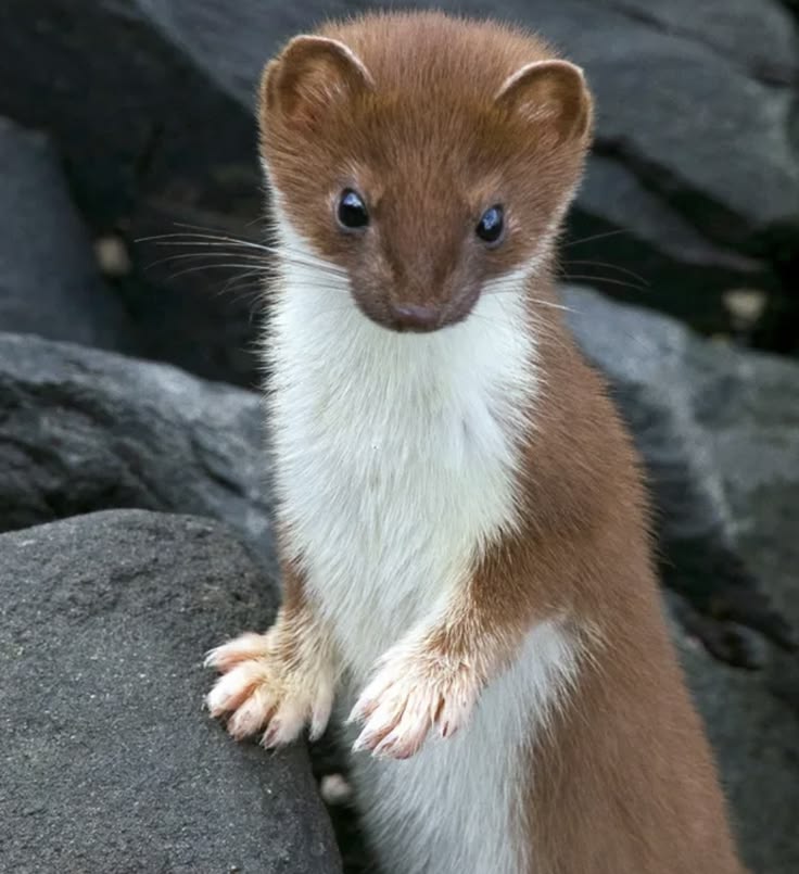 hawa ❤︎ tweet media