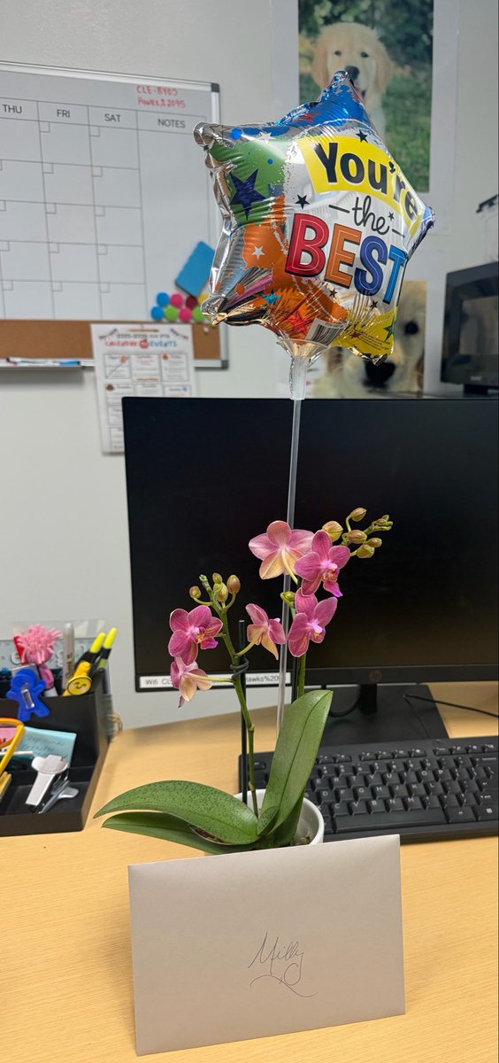 Milly Blanco tweet media