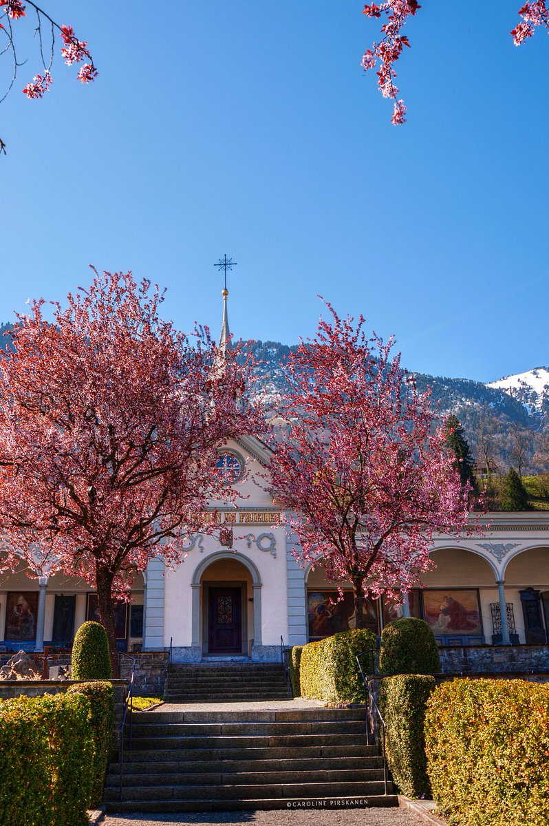 Caroline Pirskanen tweet media