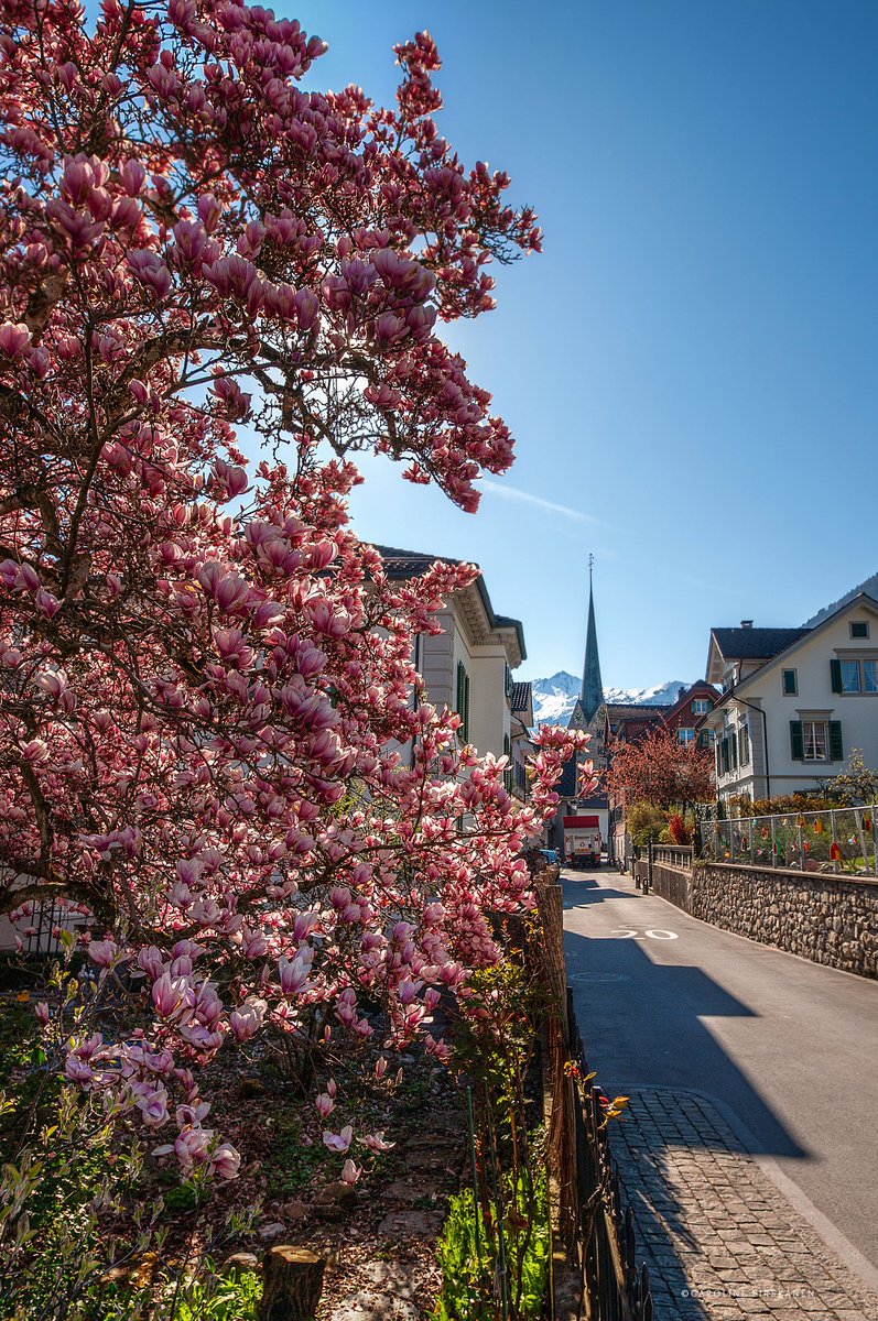 Caroline Pirskanen tweet media