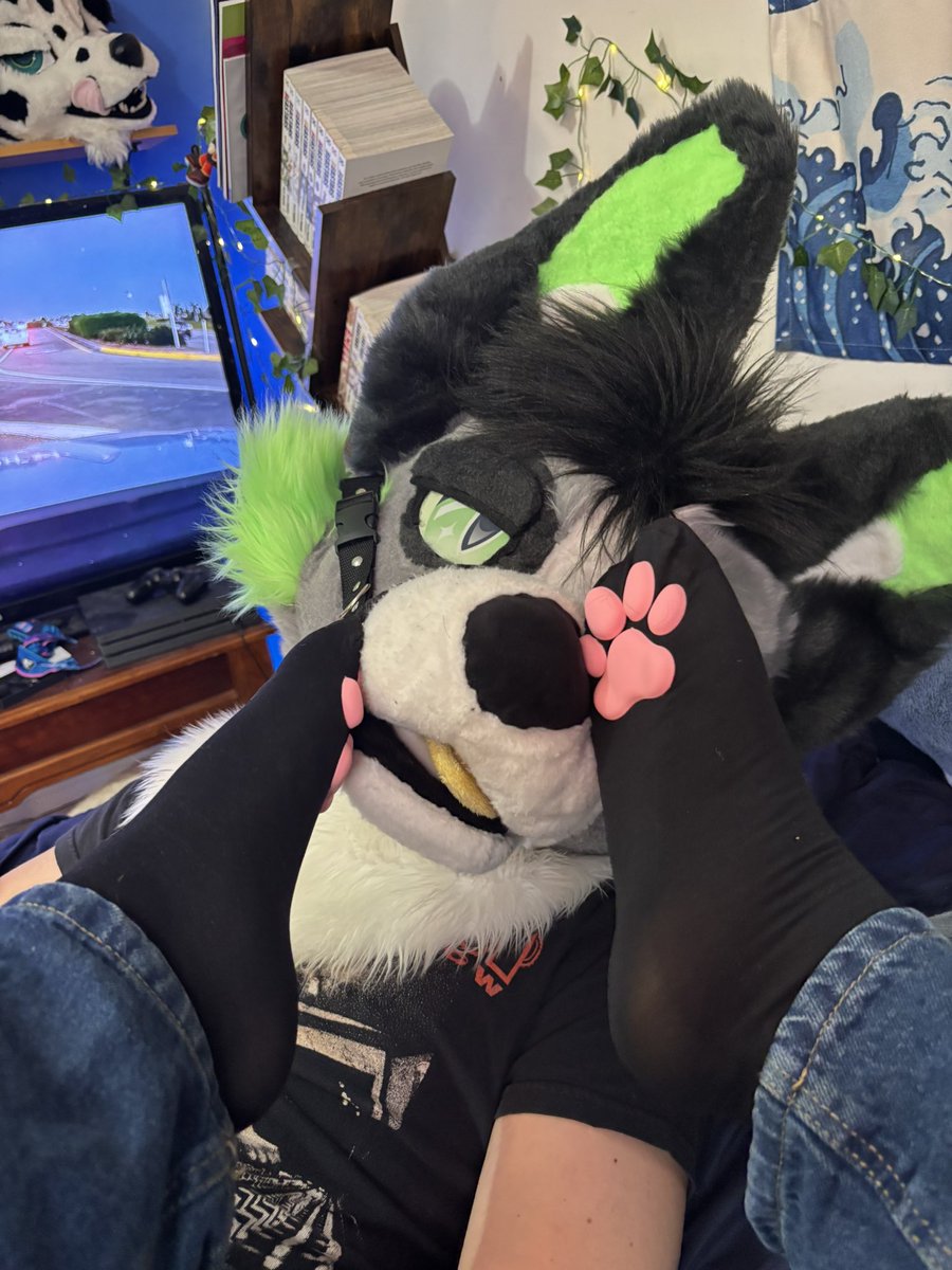 Kai! Woof 🔜 🎾 tweet media