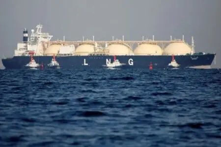 Sentletse 🇿🇦🇷🇺🇵🇸🇱🇧 tweet media