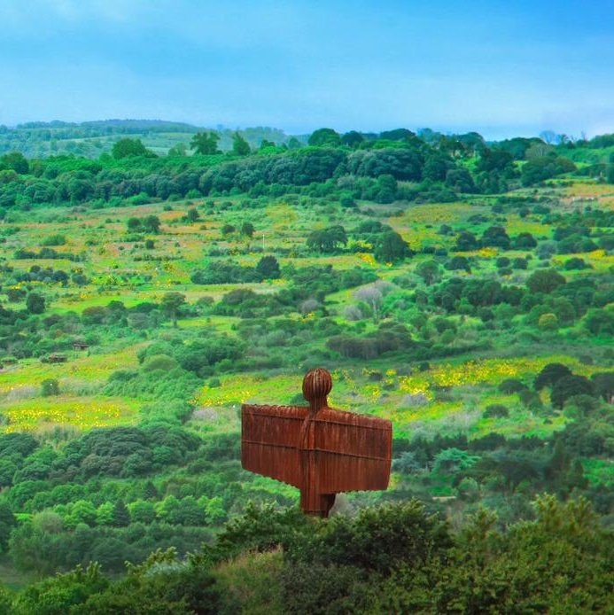 Venom Jake(y) tweet media