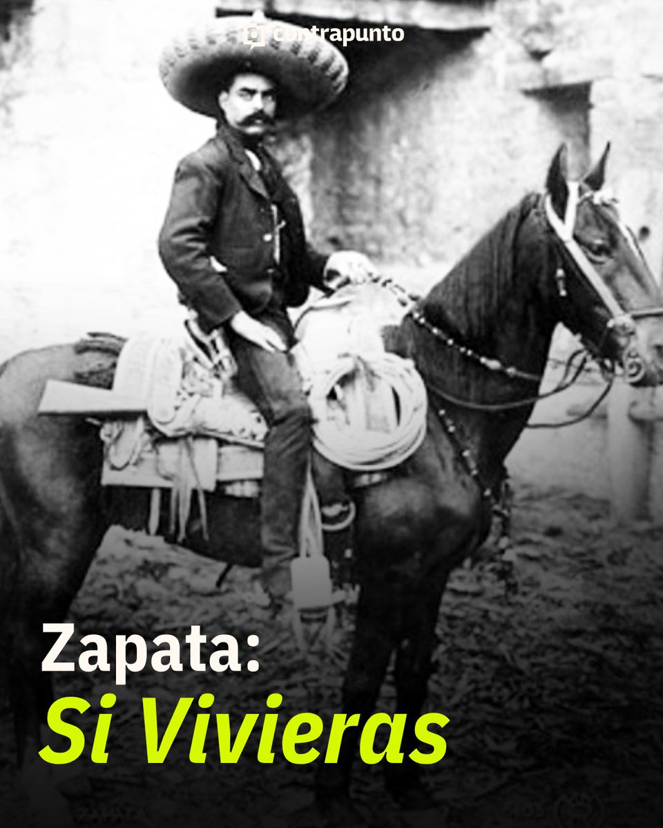 contrapunto.mx tweet media