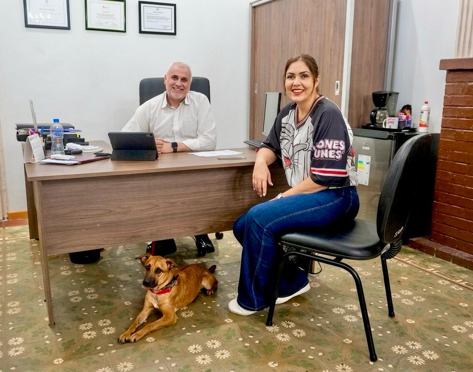 Dirección Nacional de Defensa Animal tweet media