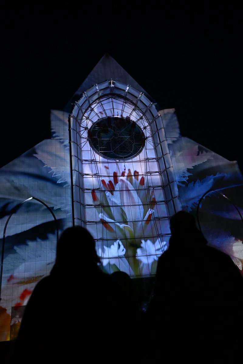 Ardeslandes's tweet image. ✨ Magnifique édition du Vidéo Mapping Festival à #Lille ! ✨

➡️ A ceux qui l’ont ratée ce soir, séance de rattrapage demain !