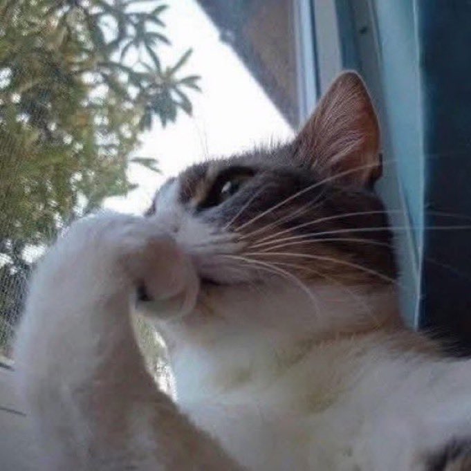 delusionaldol tweet media