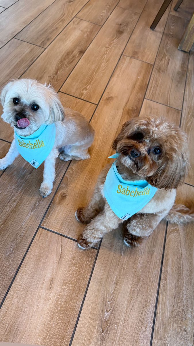 Sabrina Carpenter Daily 2.0 tweet media