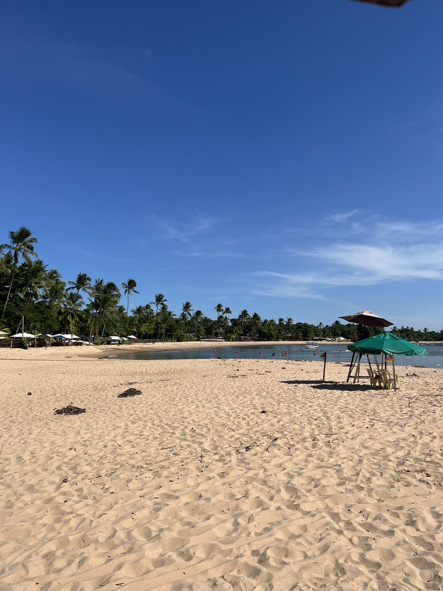 bruno.explorer tweet media