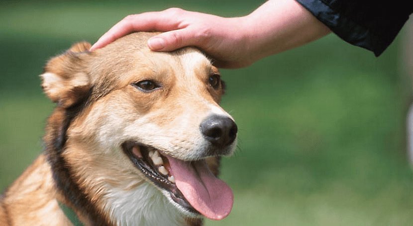 Cristián Ledesma tweet media