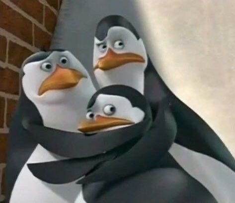 sara | enha is 7. tweet media