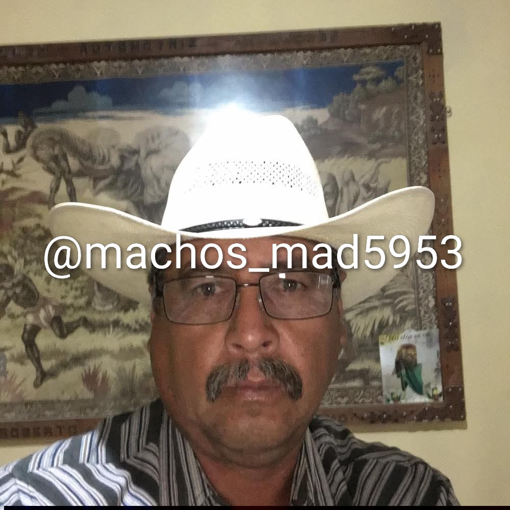 machos_cachondos tweet media