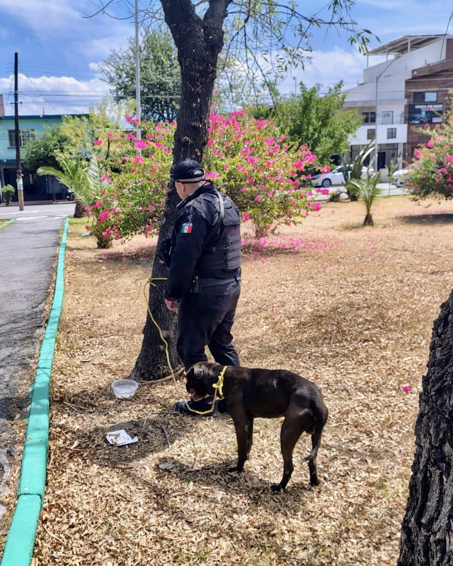 Adrián de la Garza tweet media