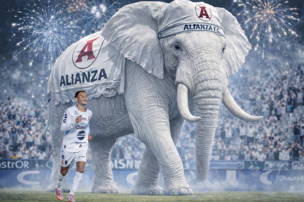 Alianza Fútbol Club tweet media