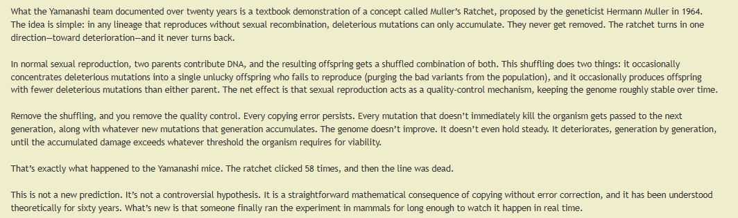 Dr. PlatinumX̅ tweet media