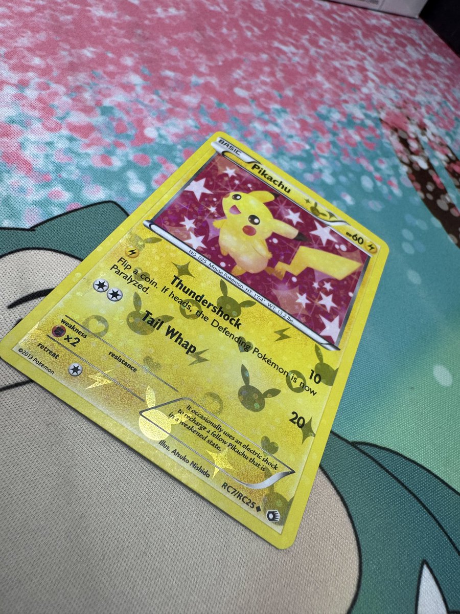 AntiXEli(King of Freedom) tweet media