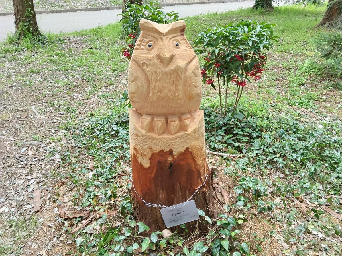 Uutaのお母ちゃん tweet media