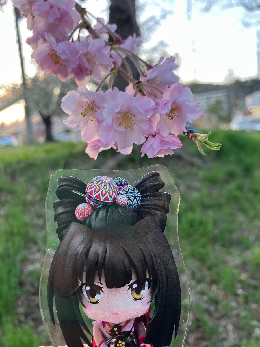 さいじー🌸🌙 tweet media