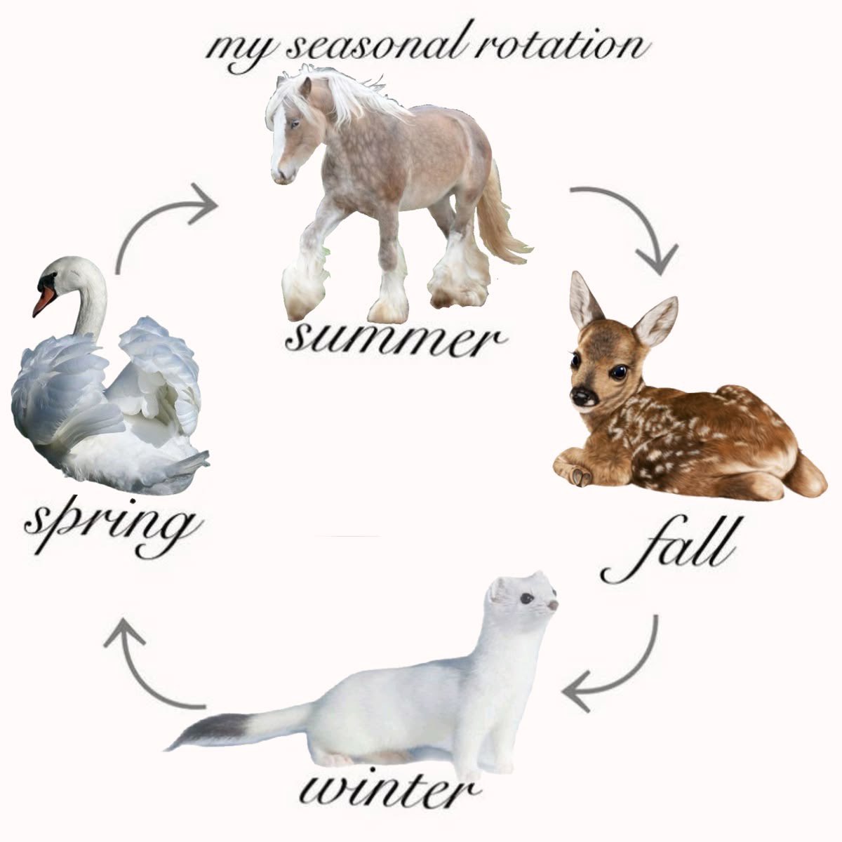 ଘ(੭*ˊᵕˋ)੭* ੈ♡‧₊˚ tweet media